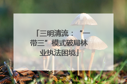 三明清流：“一带三”模式破局林业执法困境