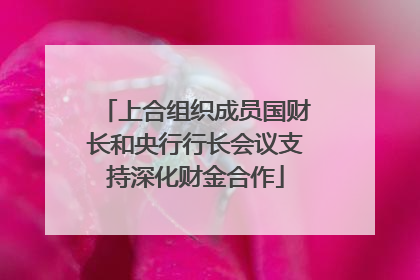 上合组织成员国财长和央行行长会议支持深化财金合作