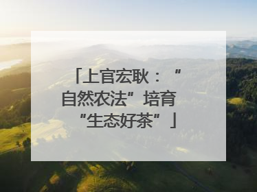 上官宏耿：“自然农法”培育“生态好茶”