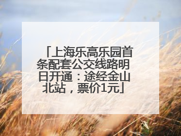 上海乐高乐园首条配套公交线路明日开通：途经金山北站，票价1元