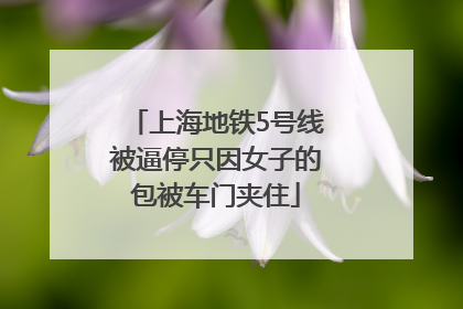 上海地铁5号线被逼停只因女子的包被车门夹住