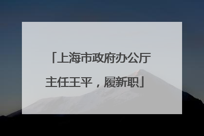 上海市政府办公厅主任王平，履新职