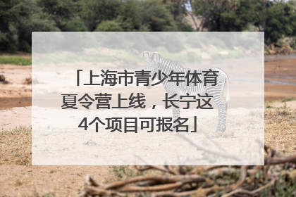 上海市青少年体育夏令营上线，长宁这4个项目可报名