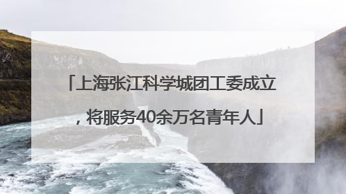 上海张江科学城团工委成立，将服务40余万名青年人