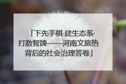 下先手棋·建生态系·打数智牌——河南文旅热背后的社会治理答卷