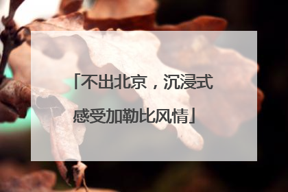 不出北京，沉浸式感受加勒比风情