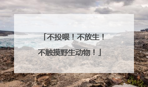 不投喂！不放生！不触摸野生动物！