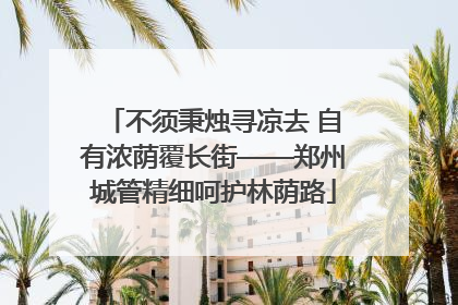 不须秉烛寻凉去 自有浓荫覆长街——郑州城管精细呵护林荫路