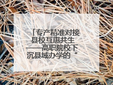 专产精准对接 县校互惠共生——高职院校下沉县域办学的“浙工商”经验