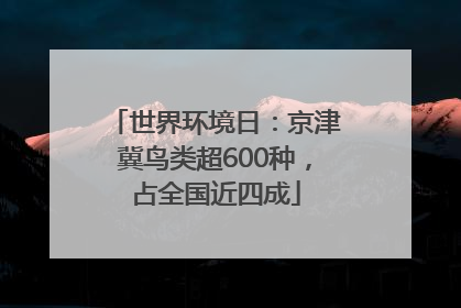 世界环境日：京津冀鸟类超600种，占全国近四成