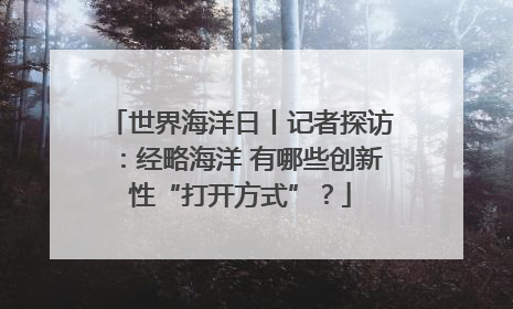 世界海洋日丨记者探访：经略海洋 有哪些创新性“打开方式”？