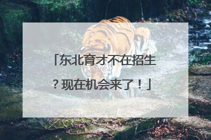 东北育才不在招生？现在机会来了！