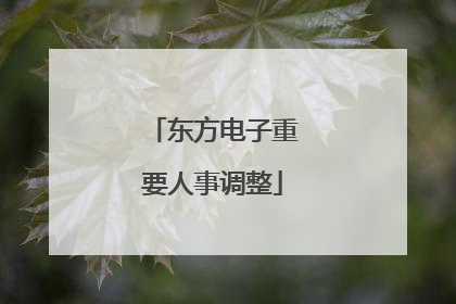东方电子重要人事调整