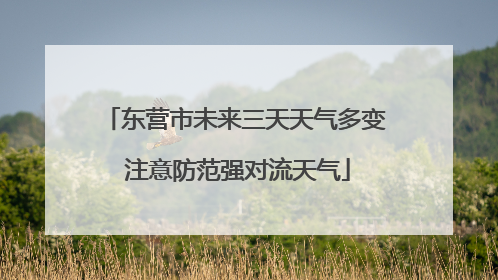 东营市未来三天天气多变 注意防范强对流天气