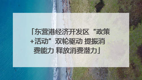 东营港经济开发区“政策+活动”双轮驱动 提振消费能力 释放消费潜力