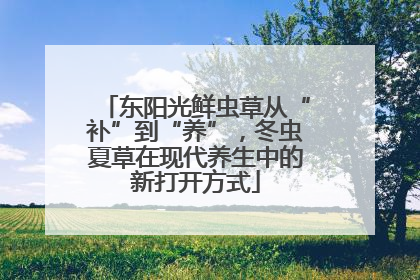 东阳光鲜虫草从“补”到“养”，冬虫夏草在现代养生中的新打开方式