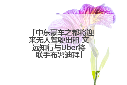 中东豪车之都将迎来无人驾驶出租 文远知行与Uber将联手布署迪拜