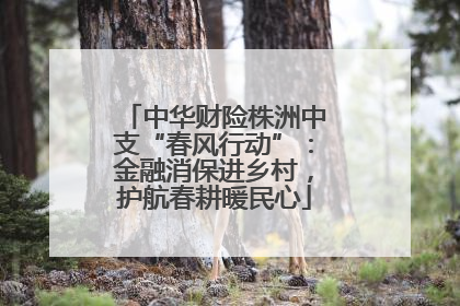 中华财险株洲中支“春风行动”：金融消保进乡村，护航春耕暖民心