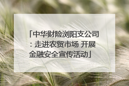 中华财险浏阳支公司：走进农贸市场 开展金融安全宣传活动