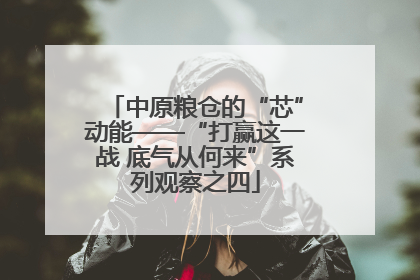 中原粮仓的“芯”动能——“打赢这一战 底气从何来”系列观察之四