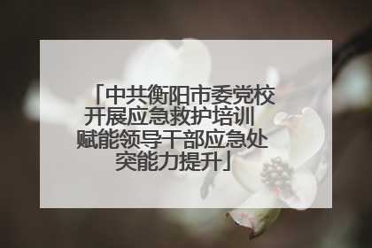 中共衡阳市委党校开展应急救护培训 赋能领导干部应急处突能力提升