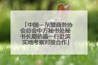 中国—东盟商务协会总会中方秘书处秘书长鹿德晶一行赴滨实地考察对接合作