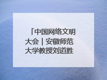 中国网络文明大会｜安徽师范大学教授刘道胜：“E”览徽风，构筑中华民族共有精神家园