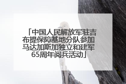 中国人民解放军驻吉布提保障基地分队参加马达加斯加独立和建军65周年阅兵活动