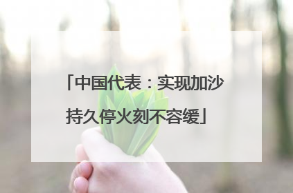 中国代表：实现加沙持久停火刻不容缓