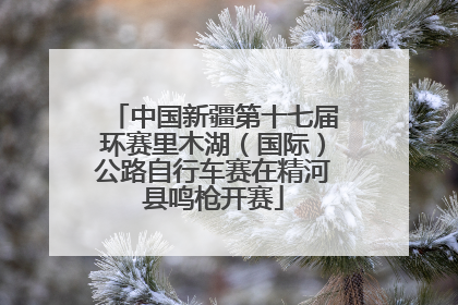 中国新疆第十七届环赛里木湖（国际）公路自行车赛在精河县鸣枪开赛