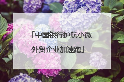 中国银行护航小微外贸企业加速跑
