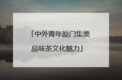 中外青年厦门集美品味茶文化魅力