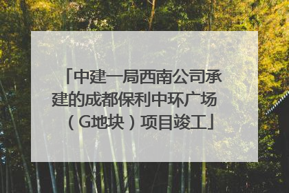 中建一局西南公司承建的成都保利中环广场（G地块）项目竣工