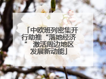 中欧班列密集开行助推“落地经济” 激活周边地区发展新动能