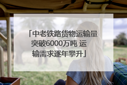 中老铁路货物运输量突破6000万吨 运输需求逐年攀升