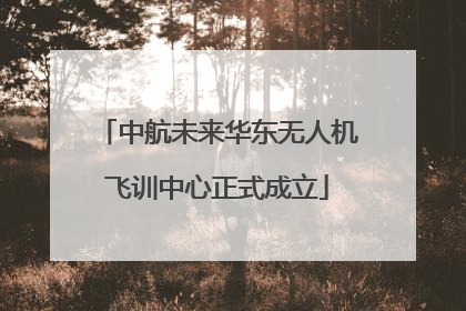 中航未来华东无人机飞训中心正式成立