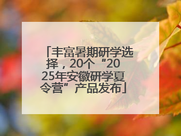 丰富暑期研学选择，20个“2025年安徽研学夏令营”产品发布