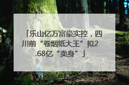 乐山亿万富豪实控，四川前“卷烟纸大王”拟2.68亿“卖身”