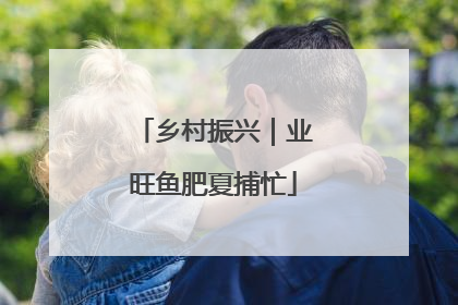 乡村振兴｜业旺鱼肥夏捕忙