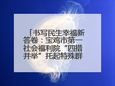 书写民生幸福新答卷：宝鸡市第一社会福利院“四措并举”托起特殊群体美好生活