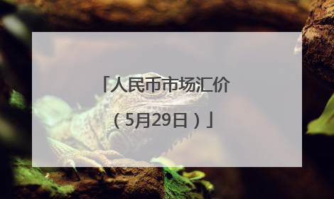 人民币市场汇价（5月29日）