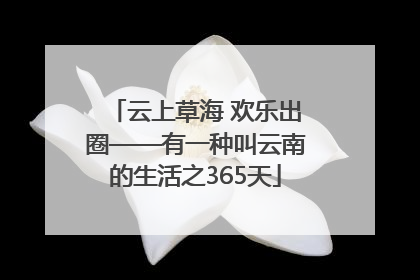 云上草海 欢乐出圈——有一种叫云南的生活之365天