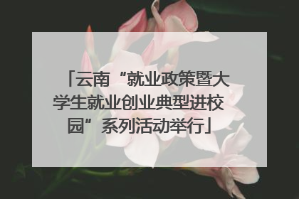 云南“就业政策暨大学生就业创业典型进校园”系列活动举行