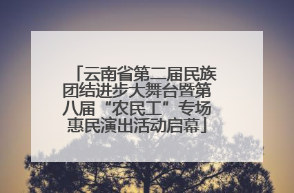 云南省第二届民族团结进步大舞台暨第八届“农民工”专场惠民演出活动启幕