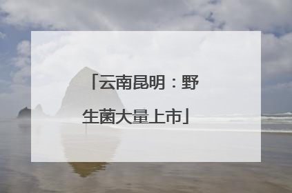 云南昆明：野生菌大量上市