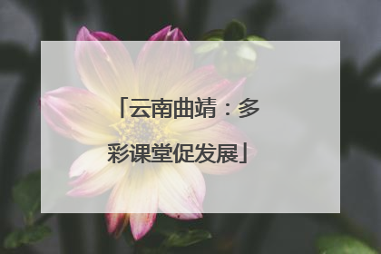 云南曲靖：多彩课堂促发展