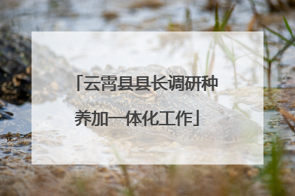 云霄县县长调研种养加一体化工作