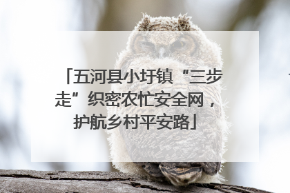 五河县小圩镇“三步走”织密农忙安全网，护航乡村平安路
