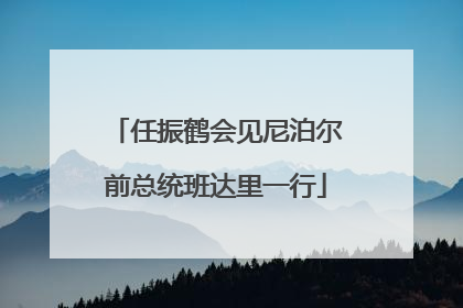 任振鹤会见尼泊尔前总统班达里一行