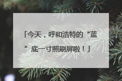 今天，呼和浩特的“蓝”底一寸照刷屏啦！